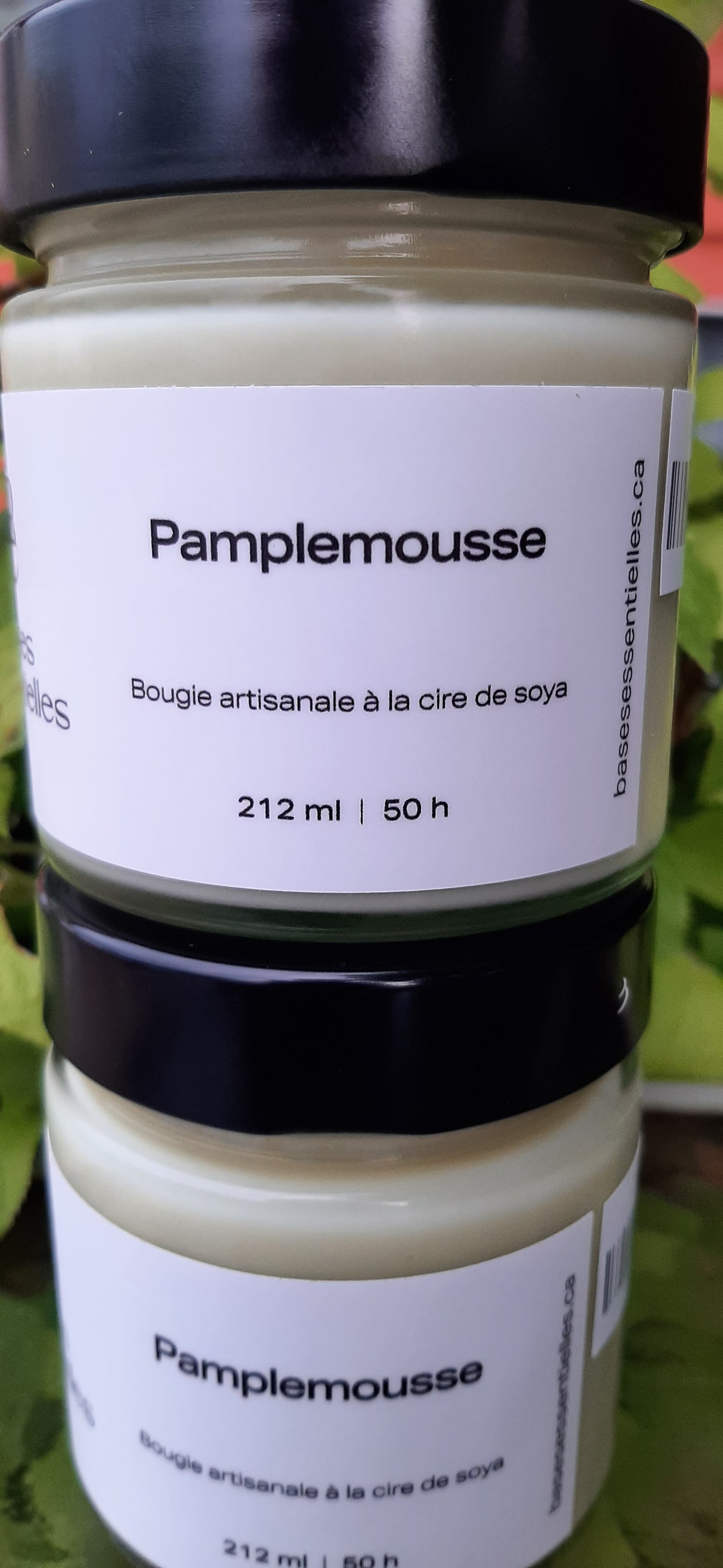 BAS0015 - Bougie artisanale à la cire de soya - Pamplemousse