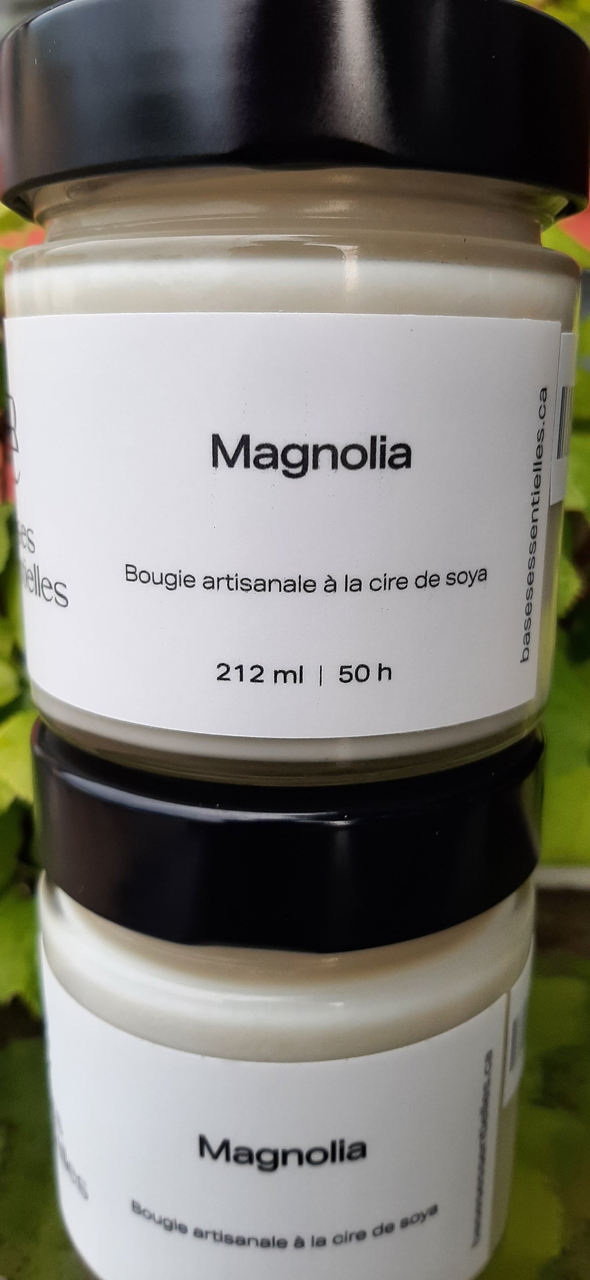 BAS0017 - Bougie artisanale à la cire de soya - Magnolia