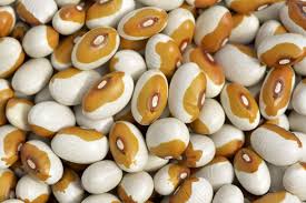 NEV0192 - Yellow eyed beans