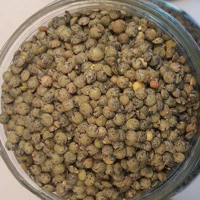 NEV0098 - French lentils