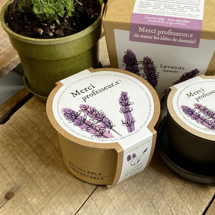 MAN10017 - Compostable mini pots - lavender