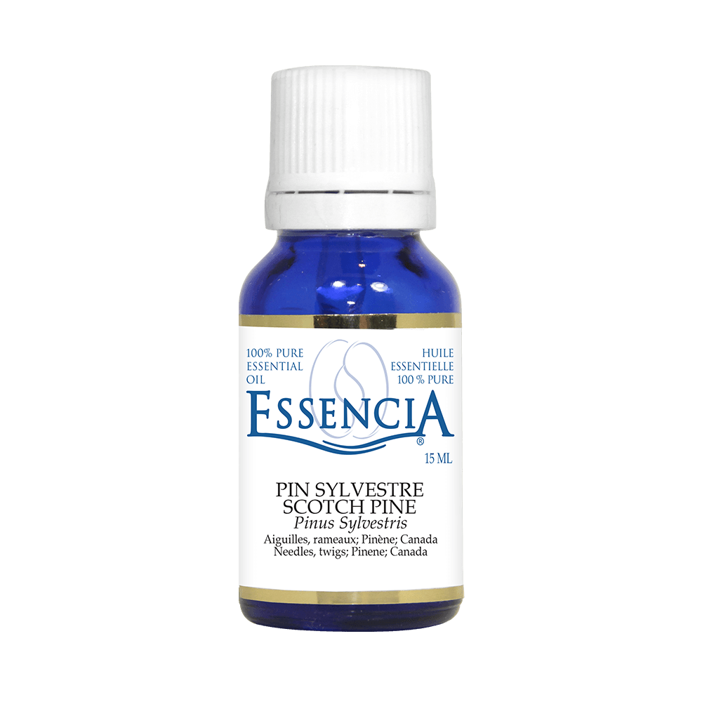 ESS1534 - Essential oil - Scotch Pine 