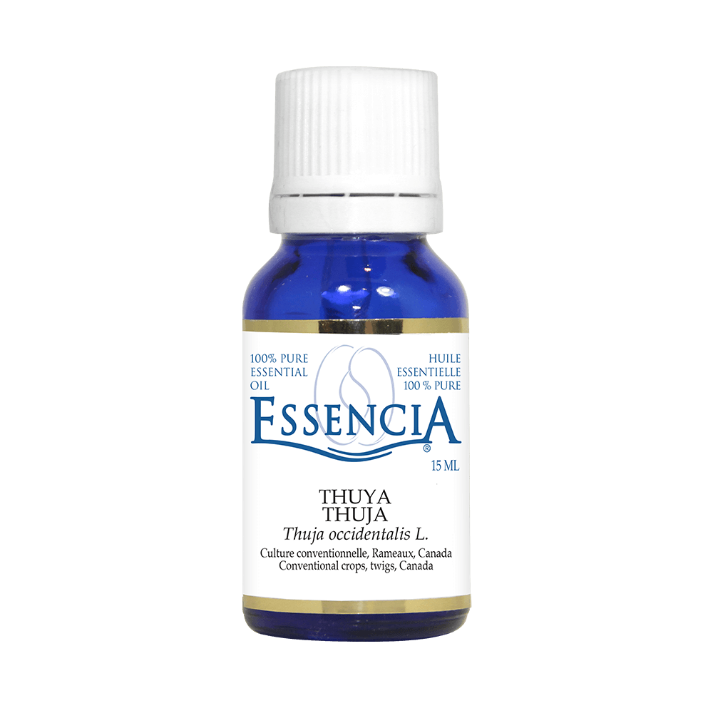 ESS0101 - Essential oil - Thuya 