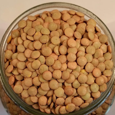 NEV0025 - Green lentils 