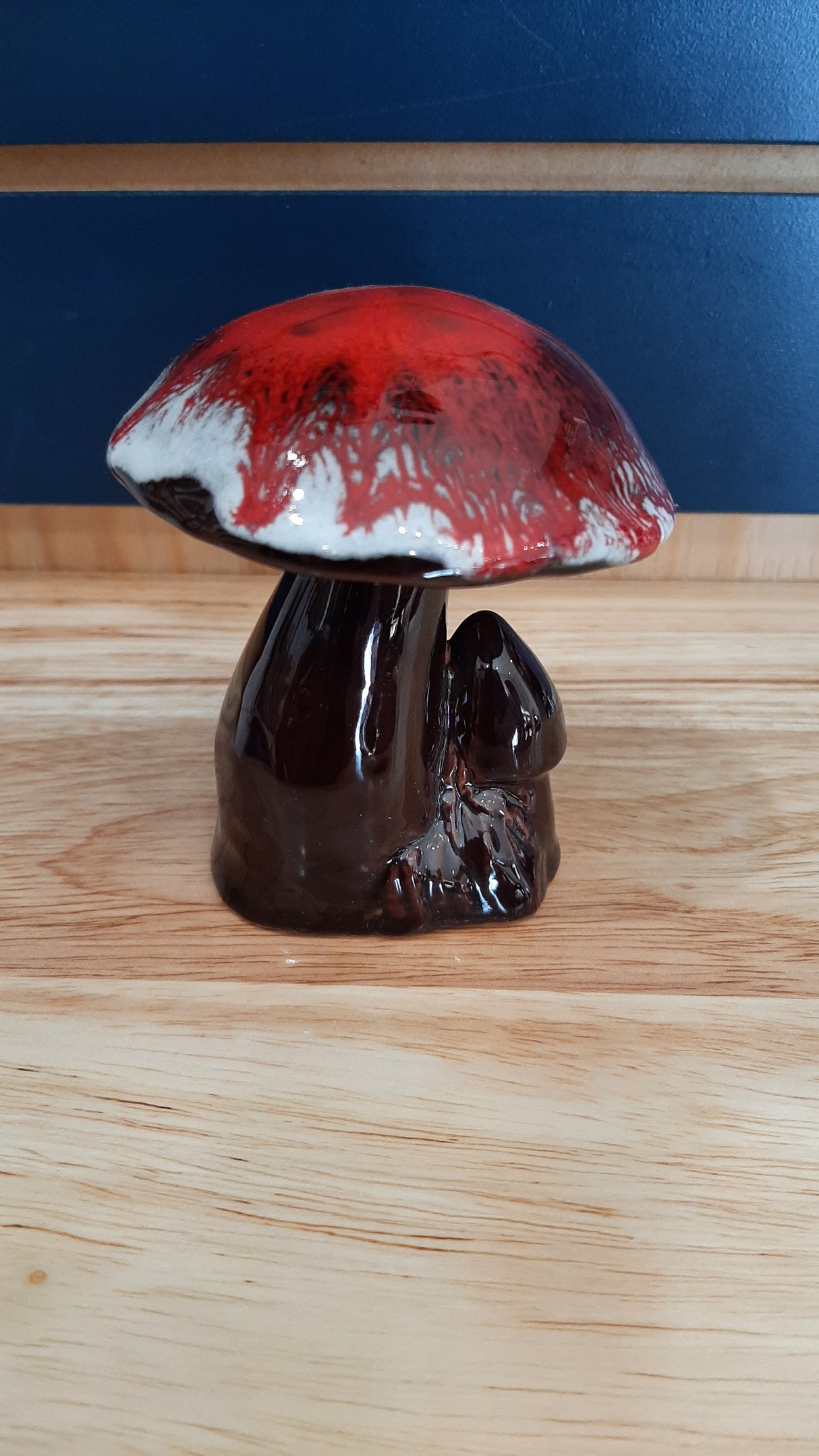 MUS0098 - Duo de champignons bruns et rouges