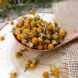 NEV0085 - Chamomile flowers 