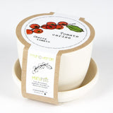 MAN10033 - Minipots - Cherry tomato / cherry tomato