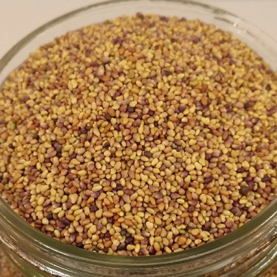 NEV0049 - Red clover seeds to germinate