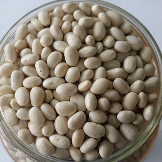 NEV0101 - White beans 