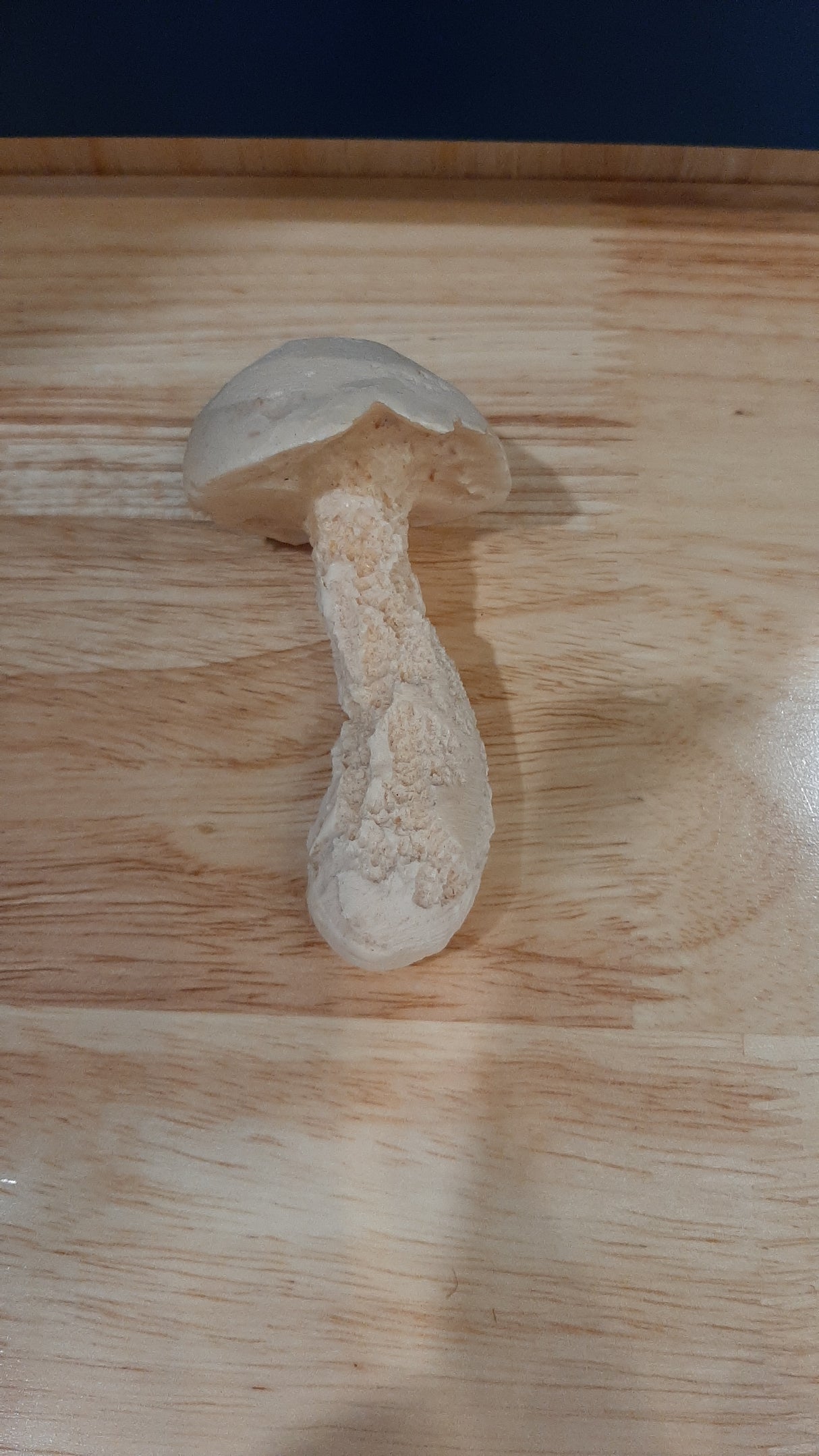 MUS0089 - Champignon en terre cuite à l'aspect véritable