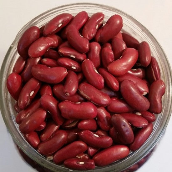 NEV0068 - Dark red kidney beans 