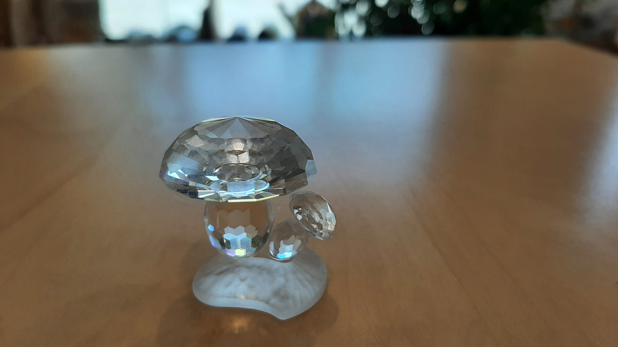 MUS0045 - Crystal mushroom duo - small format