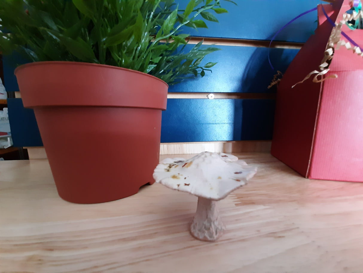 MUS0018 - Small finely modeled mushroom