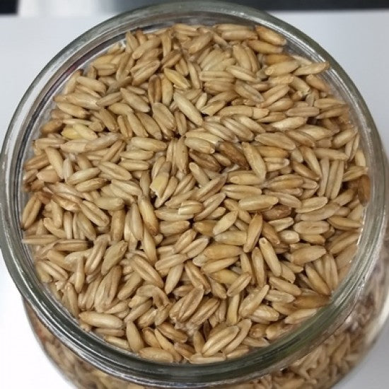 NEV0020 - Naked oats - Rice from Gaspésie 